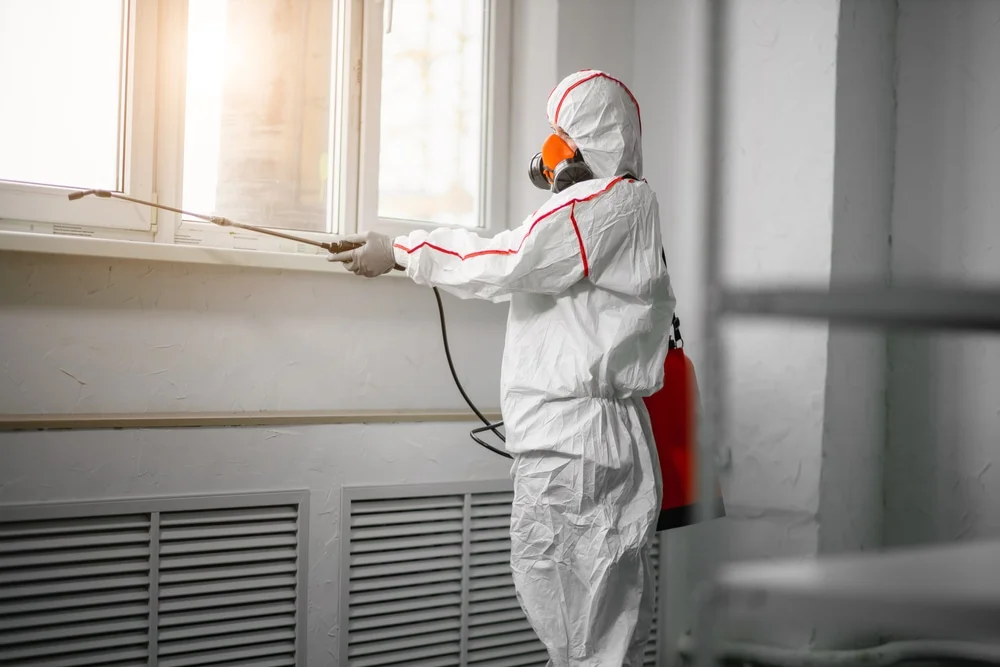 Professional mold remediation services in Cascade, ID